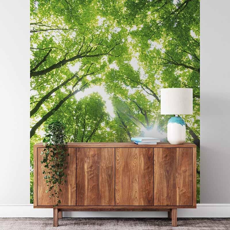 Digitaldruck-Tapete Sunny Forest livingwalls (1034092)