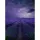 Digitaldruck-Tapete Field Of Lavender livingwalls (1034053)