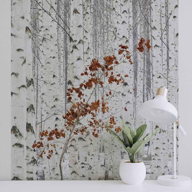 Digitaldruck-Tapete White Birch Forest livingwalls (1034041)
