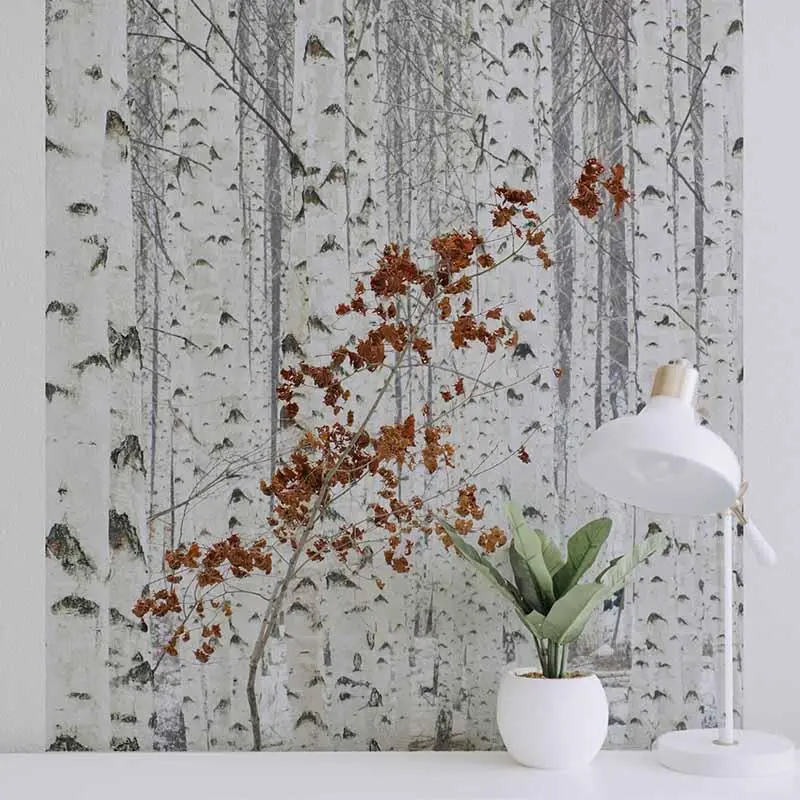 Digitaldruck-Tapete White Birch Forest livingwalls (1034041)