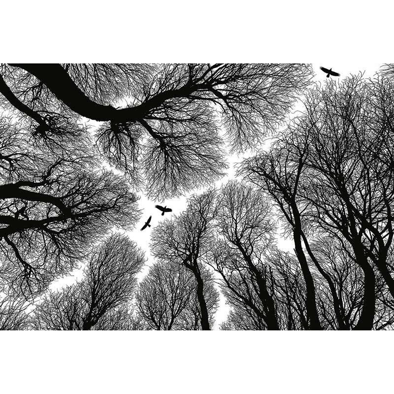 Digitaldruck-Tapete Escape livingwalls (1034008)