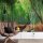 Digitaldruck-Tapete Bamboo Grove Kyoto livingwalls (1034003)
