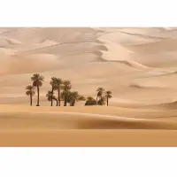 Digitaldruck-Tapete Dune livingwalls (1034001)