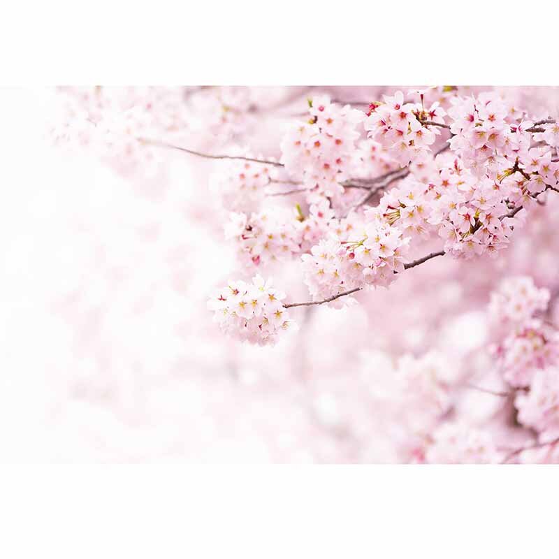 Digitaldruck-Tapete Delicate Flowers livingwalls (1033991)