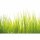 Digitaldruck-Tapete High Grass livingwalls (1033990)