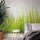 Digitaldruck-Tapete High Grass livingwalls (1033990)