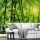 Digitaldruck-Tapete Bamboo Forest livingwalls (1033949)
