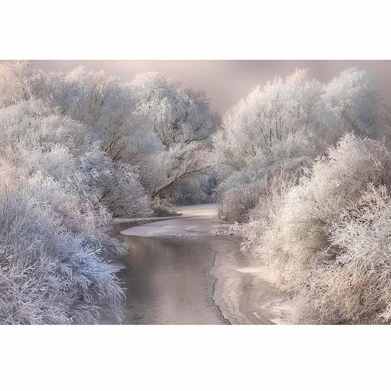 Digitaldruck-Tapete Frozen Forrest livingwalls (1033932)