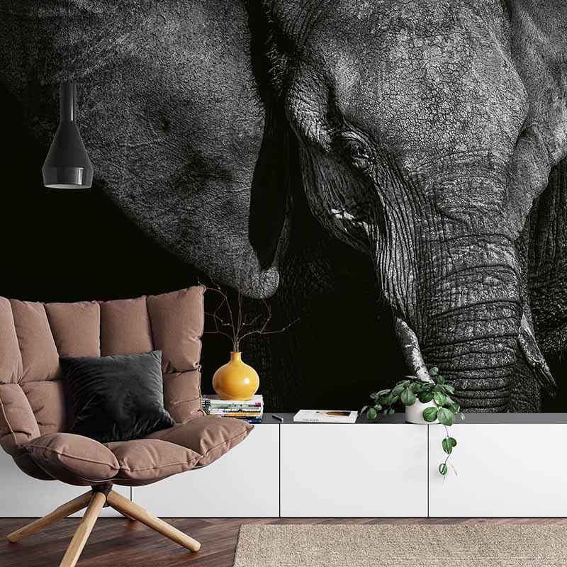 Digitaldruck-Tapete Beautiful Elephant livingwalls (1033884)