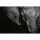 Digitaldruck-Tapete Beautiful Elephant livingwalls (1033884)