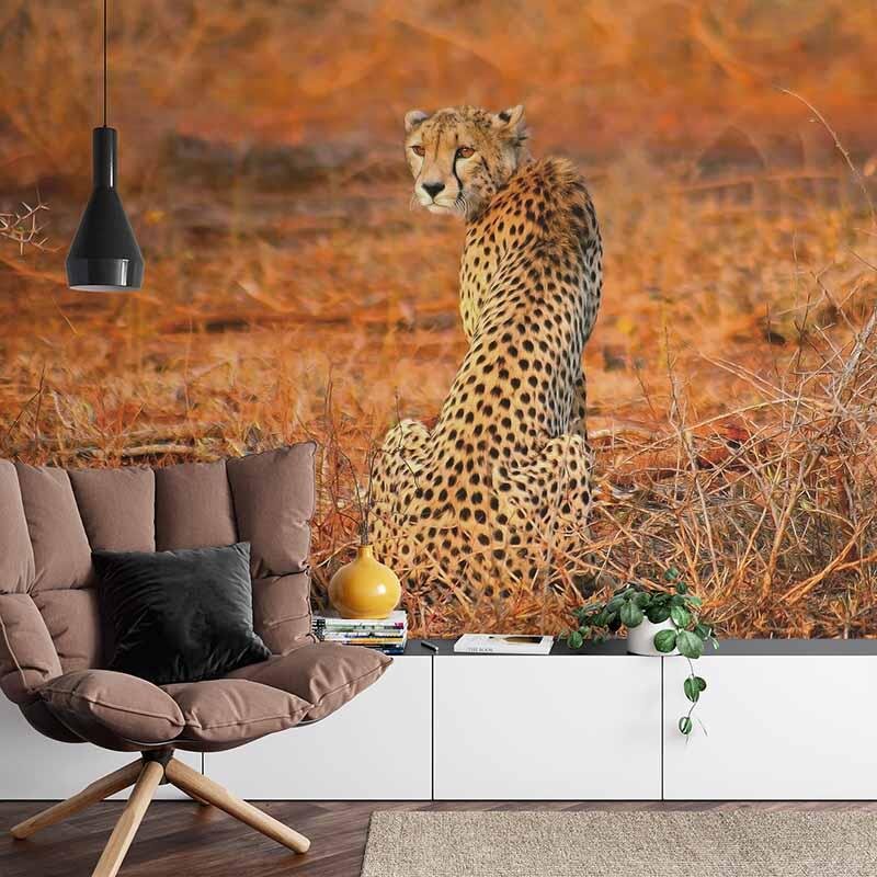 Digitaldruck-Tapete Leopard Safari livingwalls (1033882)
