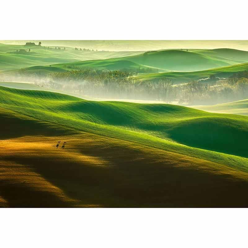 Digitaldruck-Tapete Hills livingwalls (1033880)