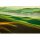 Digitaldruck-Tapete Hills livingwalls (1033880)