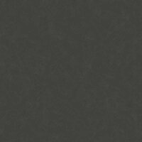 Tapete Schwarz, Anthrazit AS-Creation Vliestapete (1033714)