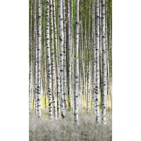 Digitaldruck-Tapete Natural Style Marburg (1034750)