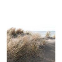 Digitaldruck-Tapete Natural Style Marburg (1034749)