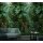 Digitaldruck-Tapete Tropical Vibes Marburg (1034738)