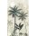 Digitaldruck-Tapete Tropical Vibes Marburg (1034733)