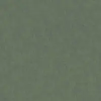 Tapete Gr&uuml;n Private Walls Vliestapete (1029465)