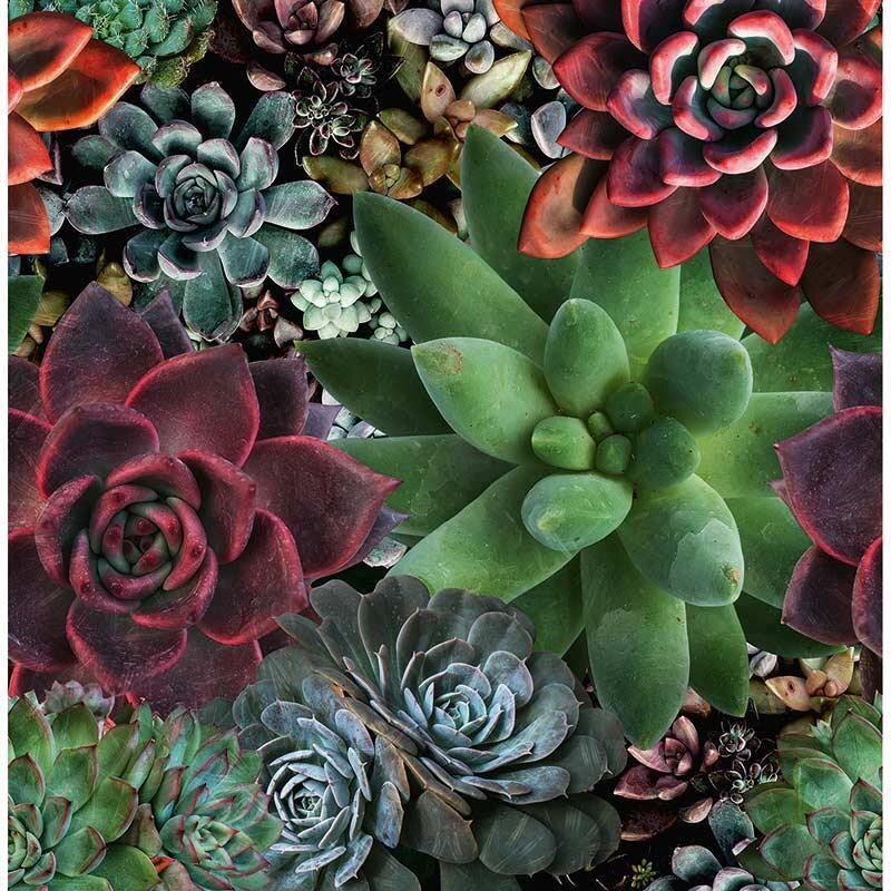 Digitaldruck-Tapete BELLA Marburg (1032962)