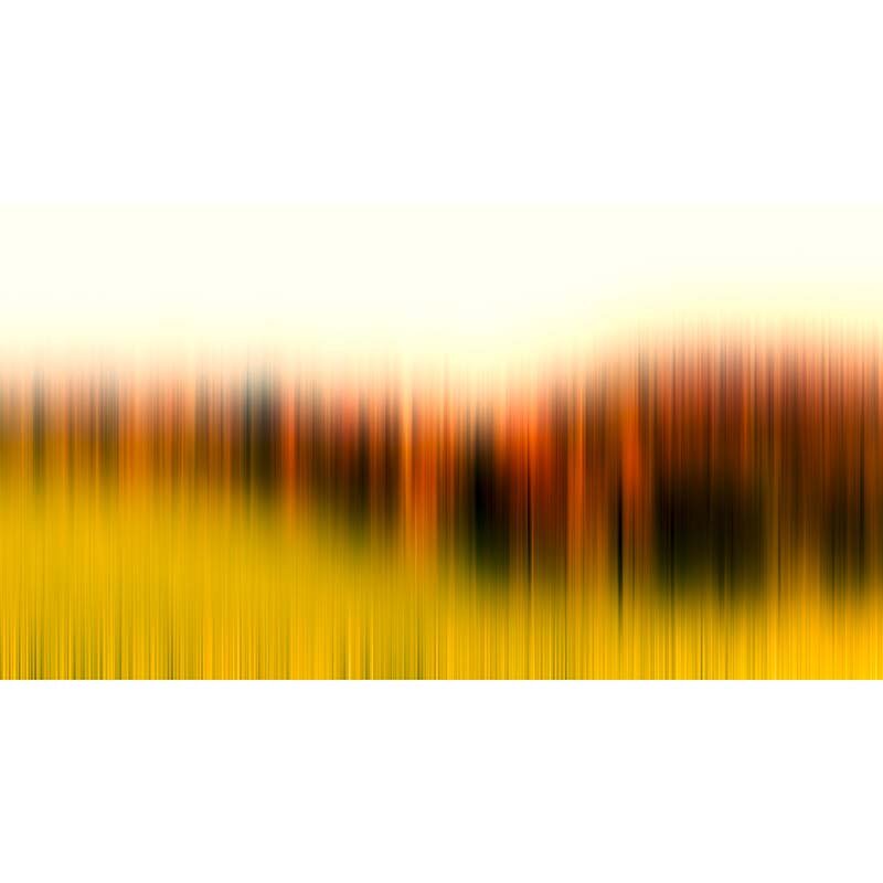 Digitaldruck-Tapete Diffused Tree Row 2 Architects Paper (1031855)