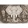 Digitaldruck-Tapete Elephant Head 2 Architects Paper (1031796)