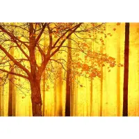 Digitaldruck-Tapete Edge 2 Architects Paper (1031761)