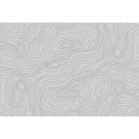 Digitaldruck-Tapete Chaotic Lines 1 Architects Paper...