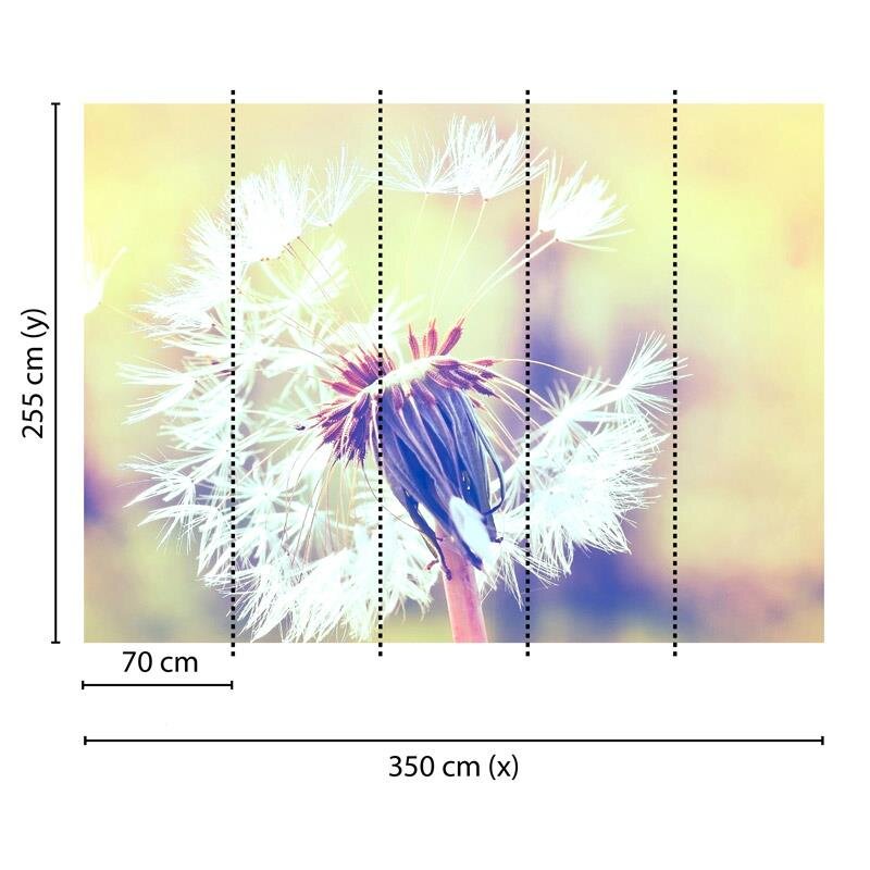 Digitaldruck-Tapete Dandelion 2 livingwalls (1031905)