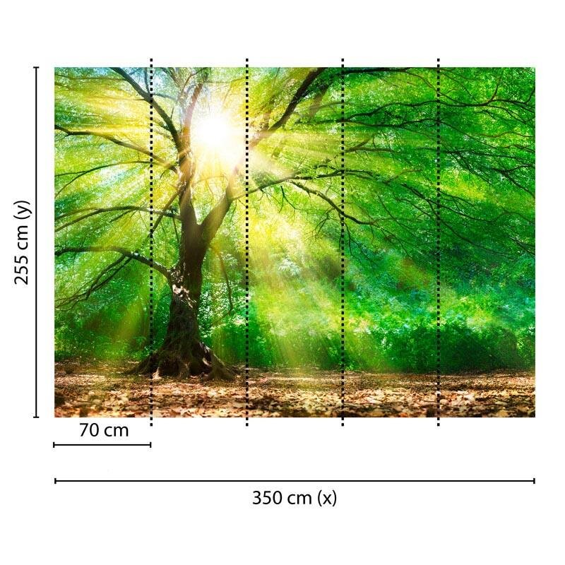 Digitaldruck-Tapete Forest Light livingwalls (1032014)