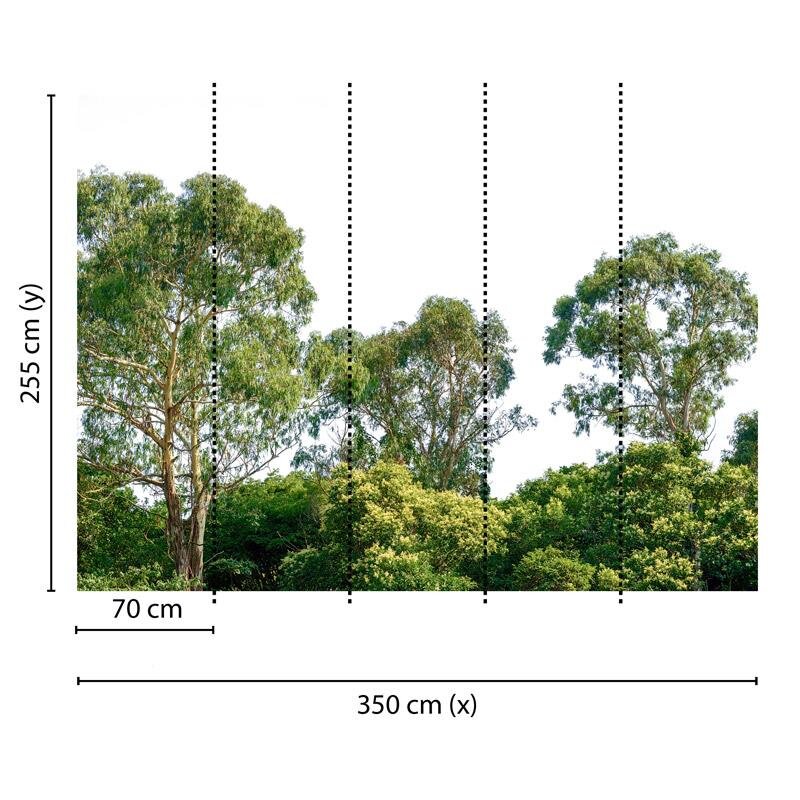 Digitaldruck-Tapete Treetop livingwalls (1032013)