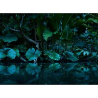 Digitaldruck-Tapete Tropical livingwalls (1032012)
