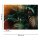 Digitaldruck-Tapete Jungle Colour livingwalls (1032011)