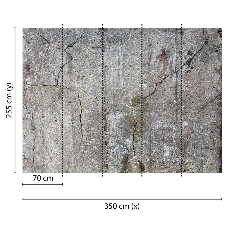 Digitaldruck-Tapete Old Concrete livingwalls (1032007)