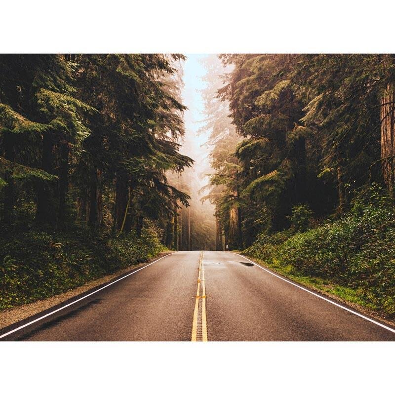 Digitaldruck-Tapete Road Trip livingwalls (1031925)