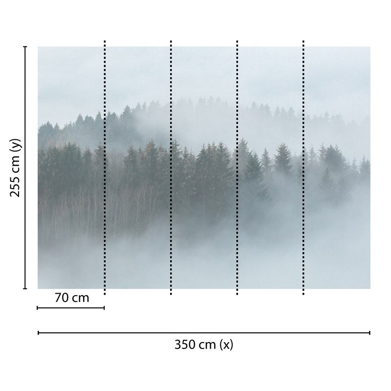 Digitaldruck-Tapete Misty Forest livingwalls (1031909)