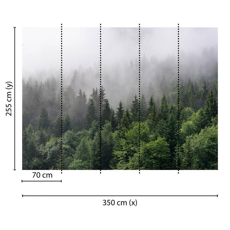 Digitaldruck-Tapete Foggy Fir Trees livingwalls (1031908)