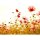 Digitaldruck-Tapete Flower Meadow 2 livingwalls (1031907)