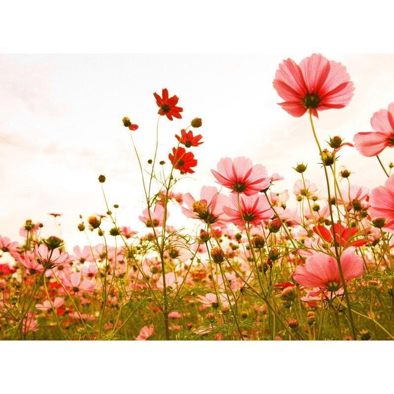 Digitaldruck-Tapete Flower Meadow 1 livingwalls (1031906)