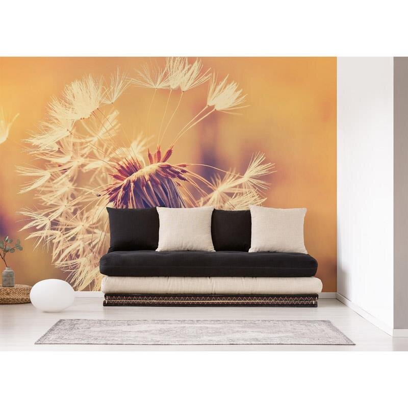 Digitaldruck-Tapete Dandelion 1 livingwalls (1031904)