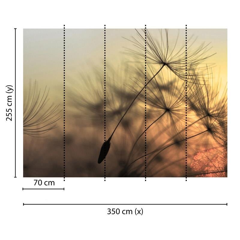 Digitaldruck-Tapete Flying Dandelion 2 livingwalls (1031903)