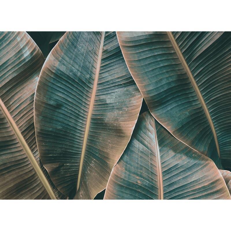 Digitaldruck-Tapete Banana Leaves 2 livingwalls (1031888)