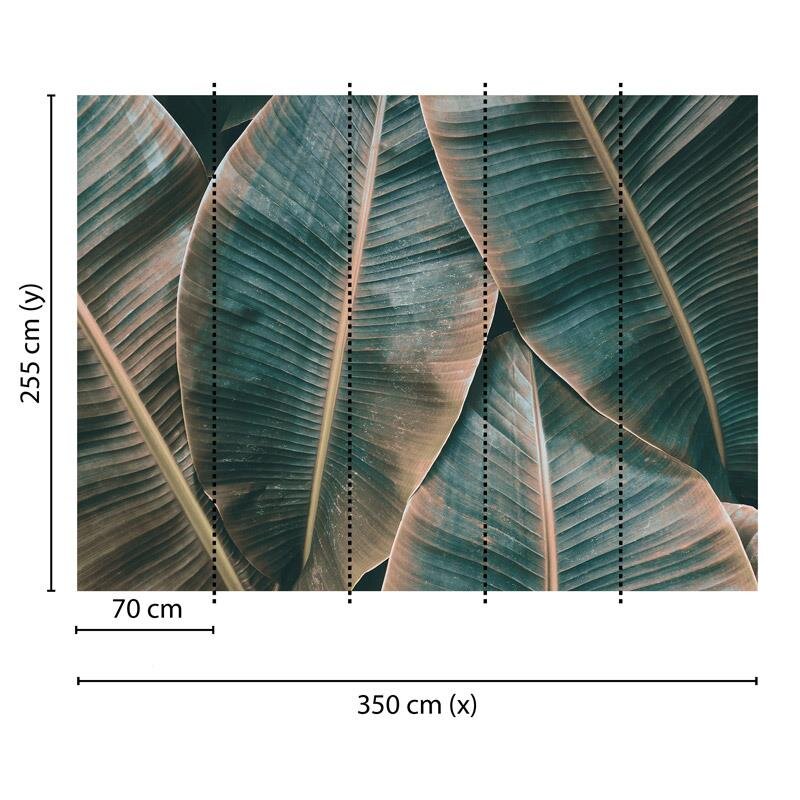 Digitaldruck-Tapete Banana Leaves 2 livingwalls (1031888)