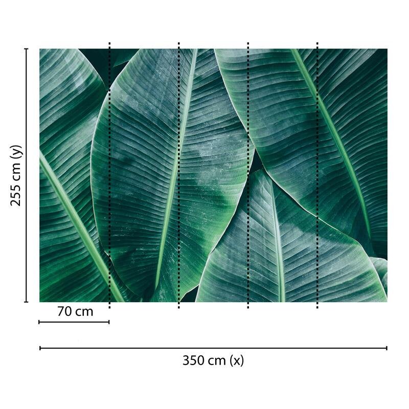 Digitaldruck-Tapete Banana Leaves 1 livingwalls (1031887)
