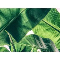 Digitaldruck-Tapete Broken Leaf 1 livingwalls (1031883)