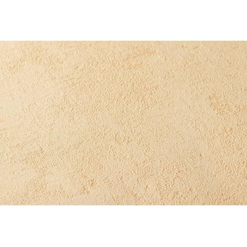 Tapete Orange, Terrakotta AS-Creation Vliestapete (1026925)