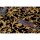 Tapete Gold, Kupfer, Schwarz, Anthrazit VERSACE Vliestapete (1028866)