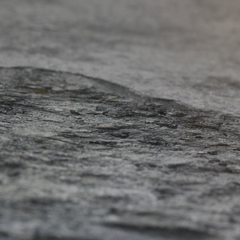 Digitaldruck-Tapete Grau, Silber Rasch (1021984)