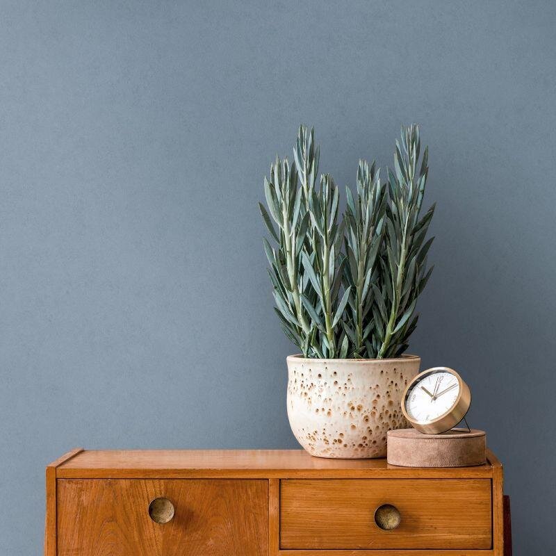 Tapete Blau Architects Paper Vliestapete (1043631)