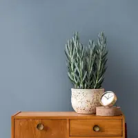 Tapete Blau Architects Paper Vliestapete (1043631)